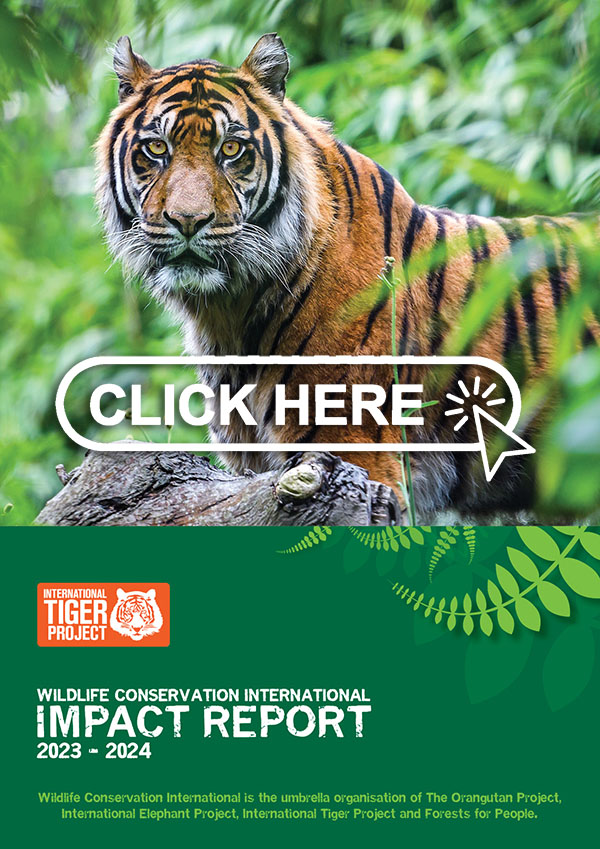 Download our Impact Report