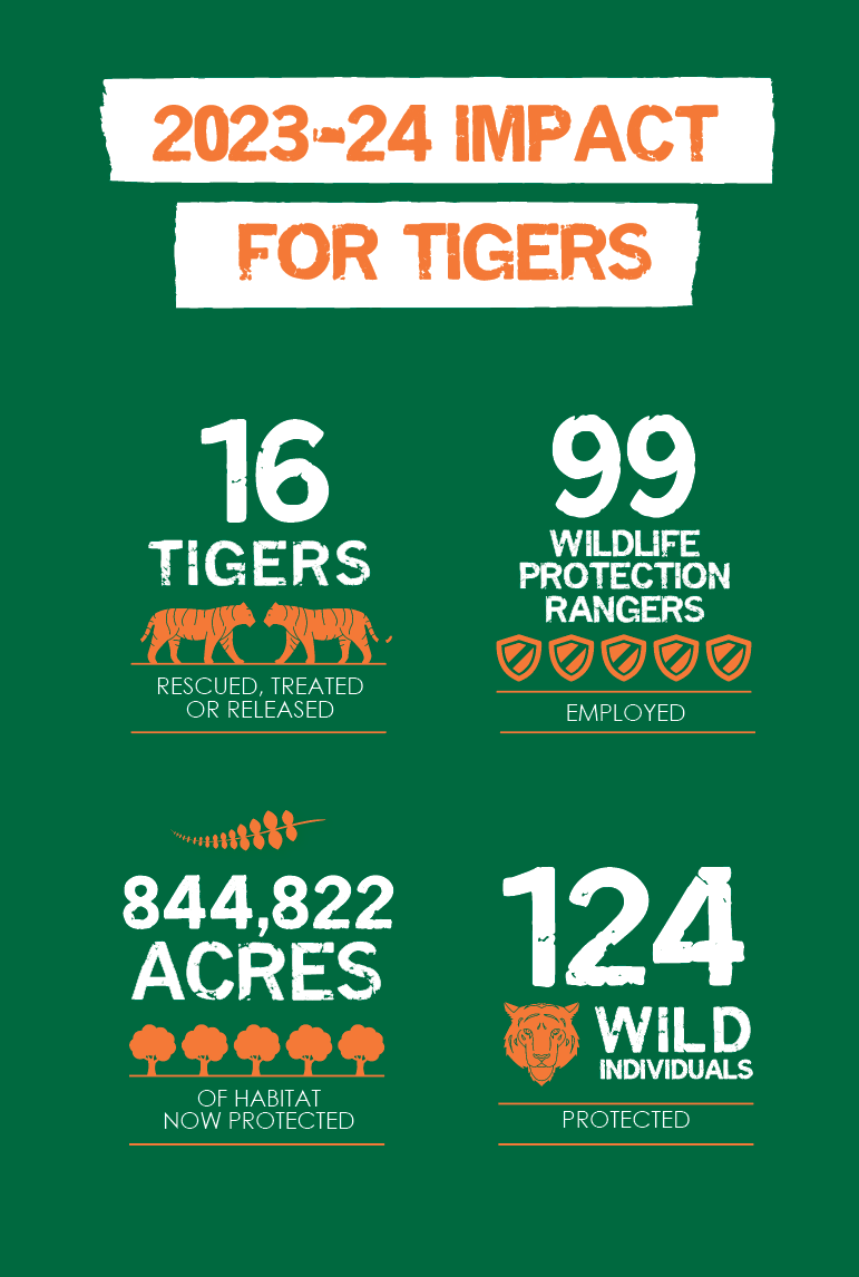 Our Impact by the Numbers